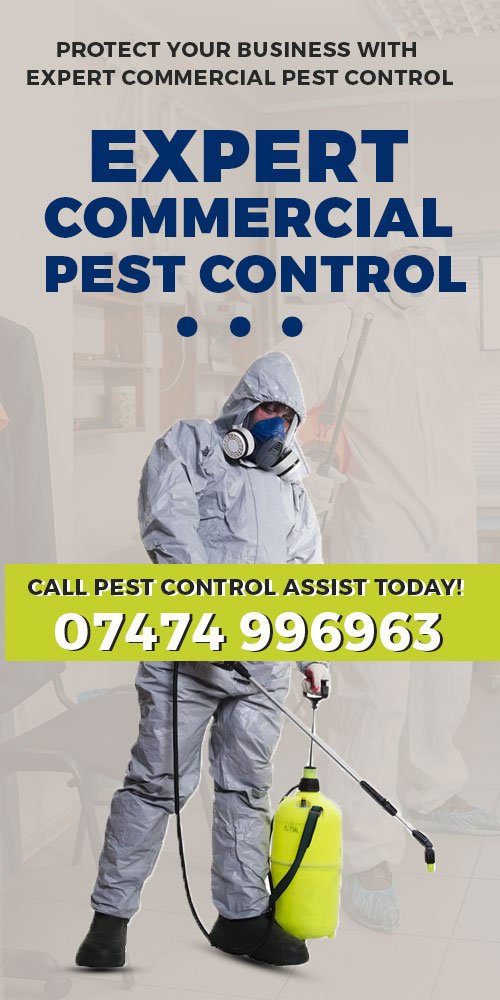 Commercial Pest Control