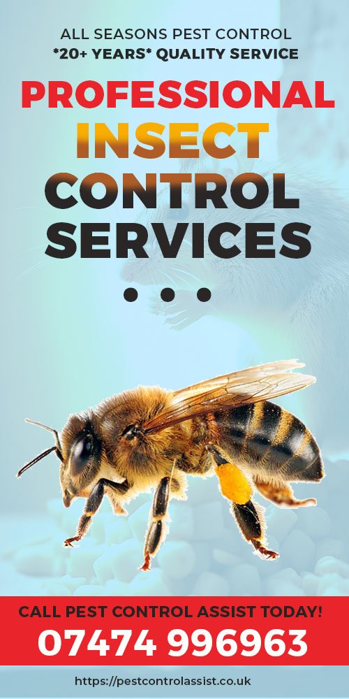 Insect Control Services