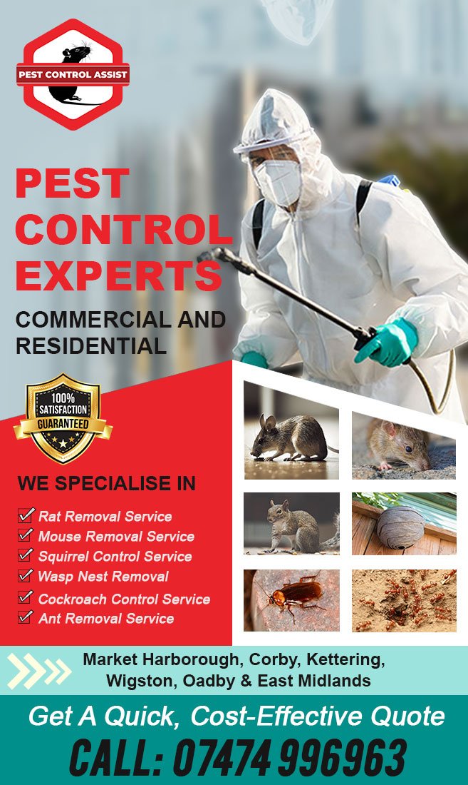 Expert Pest Control Services