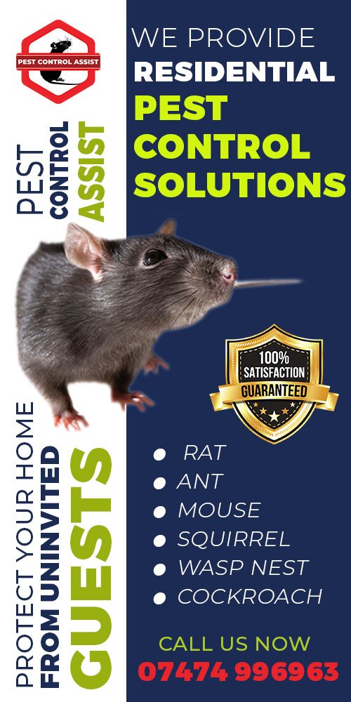 Residential Pest Control Services